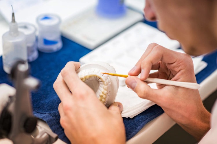 Prosthetic dentistry, man with brush and cast of teeth